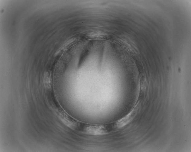 X0000085210179200703161228