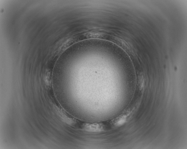 X0000085210181200703161228