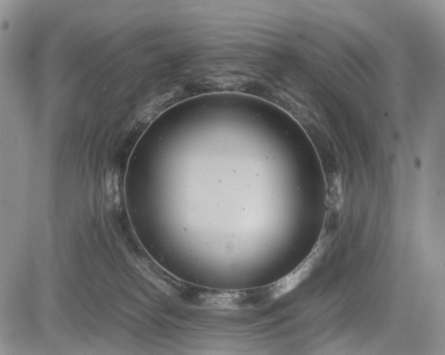 X0000085210182200703161228