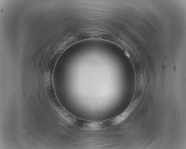 X0000085210184200703161228