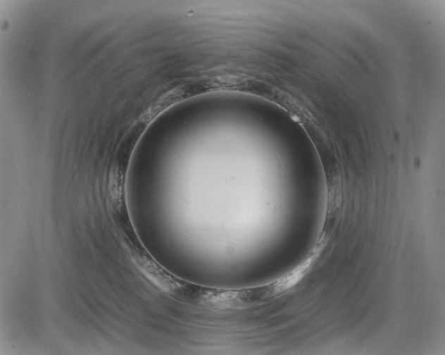 X0000085210186200703161228