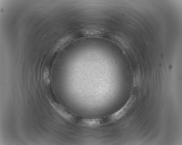 X0000085210187200703161228