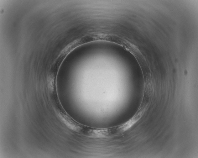 X0000085210188200703161228