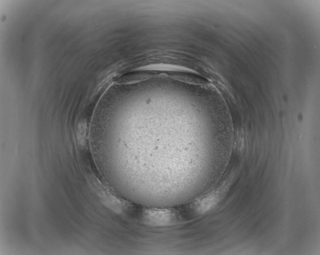 X0000085210189200703161228