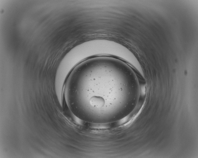 X0000085210190200703161228