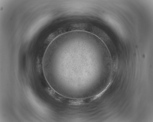 X0000085210191200703161229