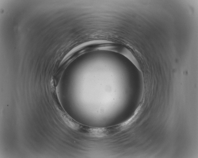 X0000085210192200703161229