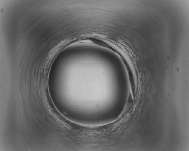 X0000085210193200703161228