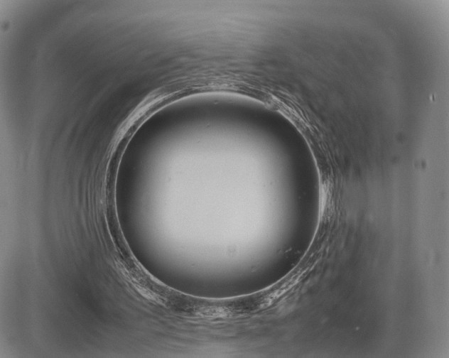 X0000085210195200703161228