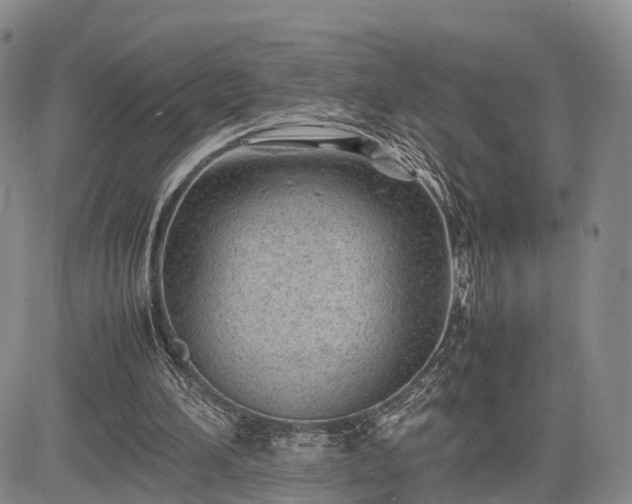 X0000085210196200703161228