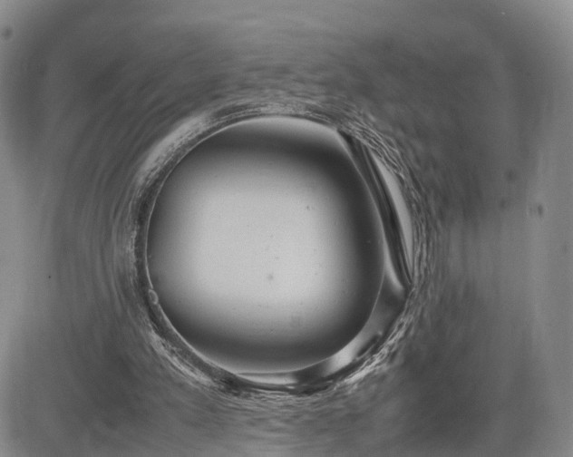 X0000085210197200703161228