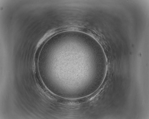 X0000085210198200703161228