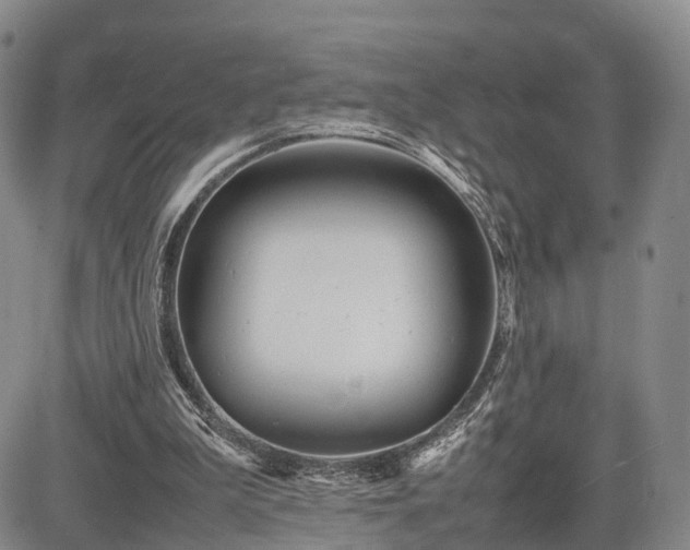 X0000085210199200703161228