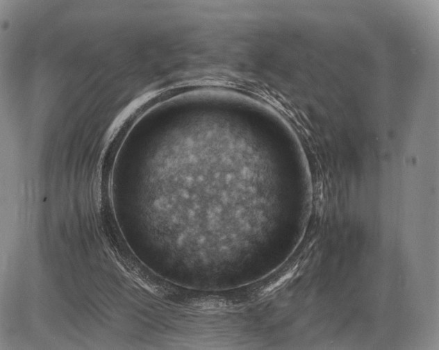 X0000085210200200703161228