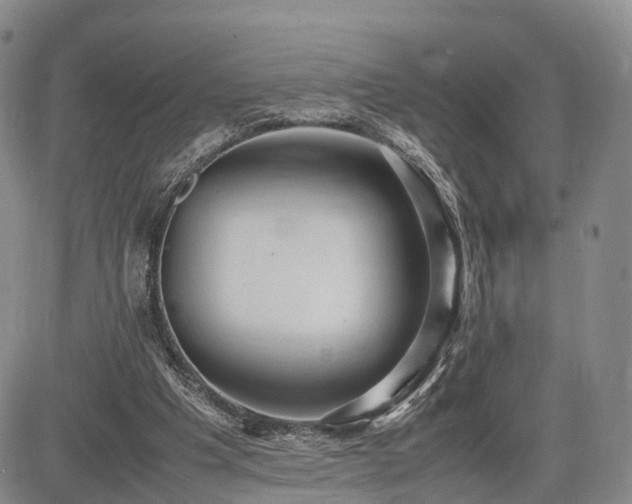 X0000085210201200703161228