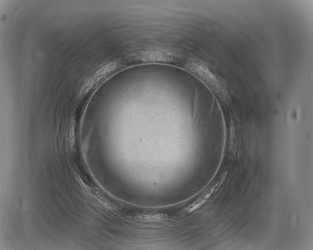 X0000085210202200703161228