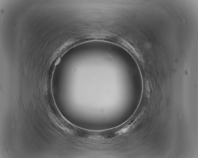 X0000085210203200703161228