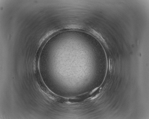 X0000085210204200703161228