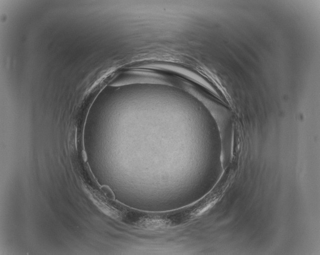 X0000085210205200703161228