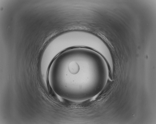 X0000085210207200703161227