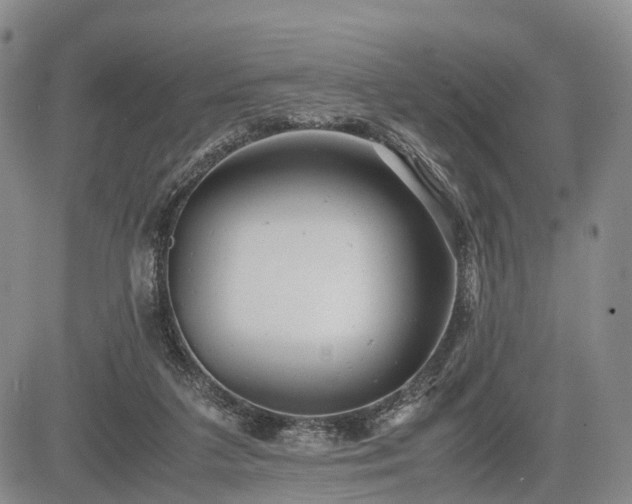 X0000085210211200703161227