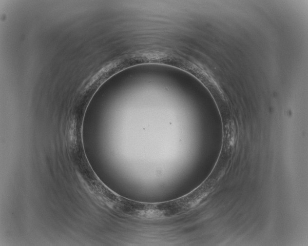 X0000085210212200703161227