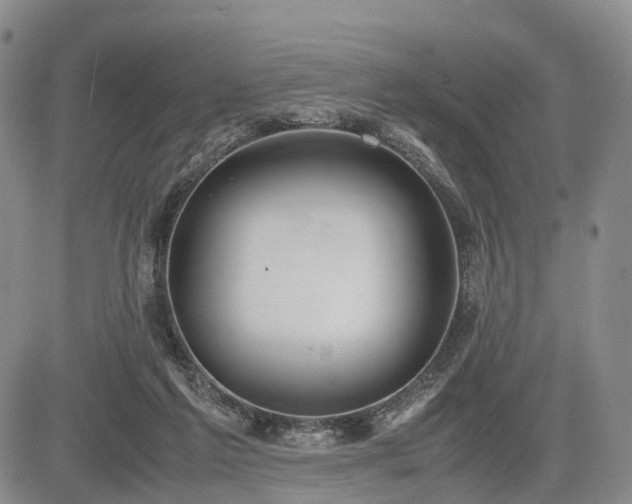 X0000085210213200703161227