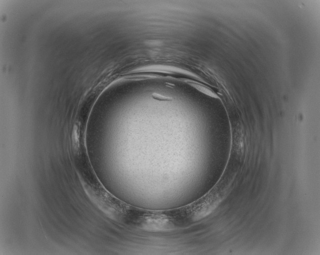 X0000085210214200703161227