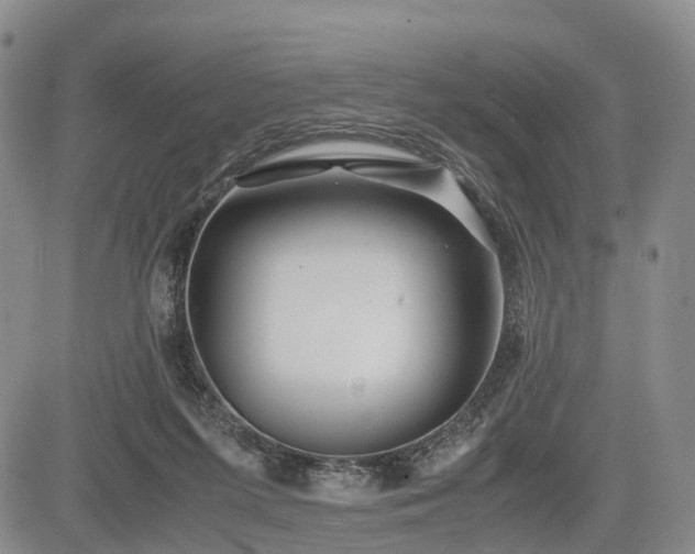 X0000085210215200703161227