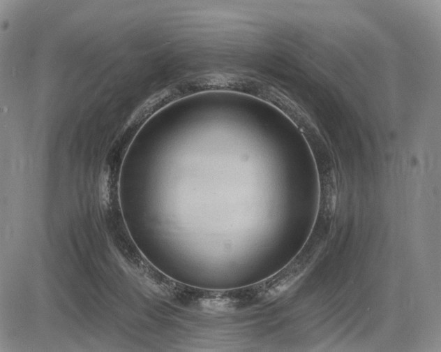 X0000085210216200703161227