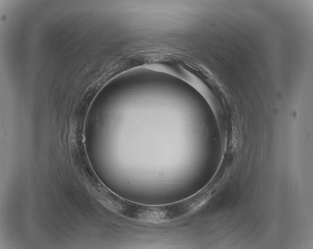 X0000085210217200703161227