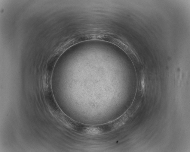 X0000085210218200703161227