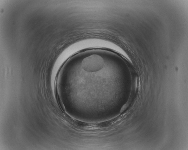 X0000085210219200703161227