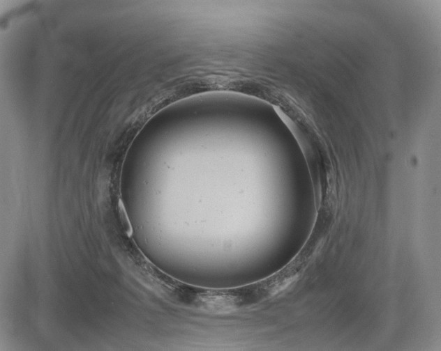 X0000085210221200703161227