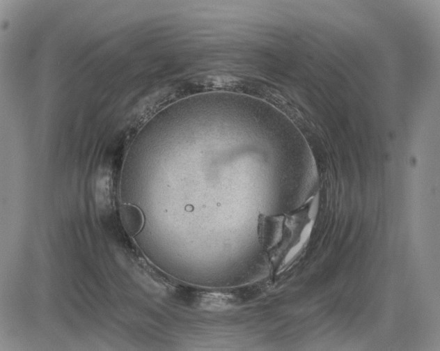 X0000085210222200703161227