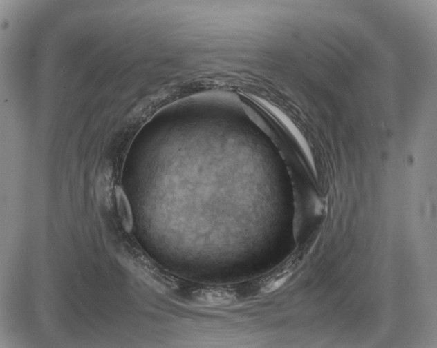 X0000085210223200703161227