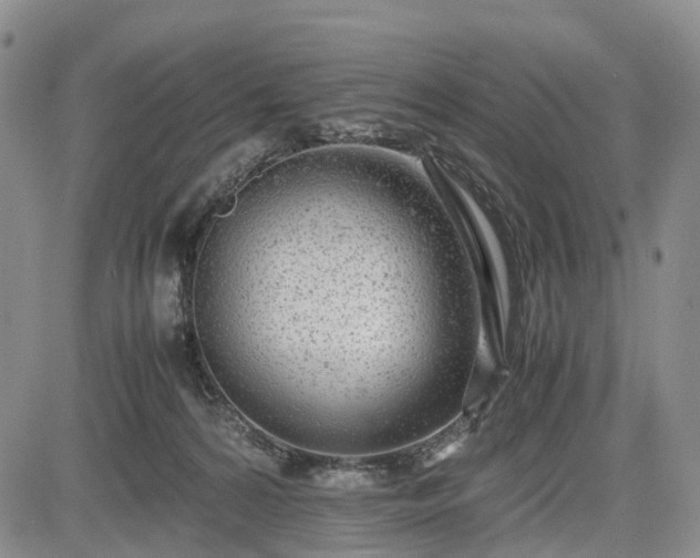 X0000085210224200703161227