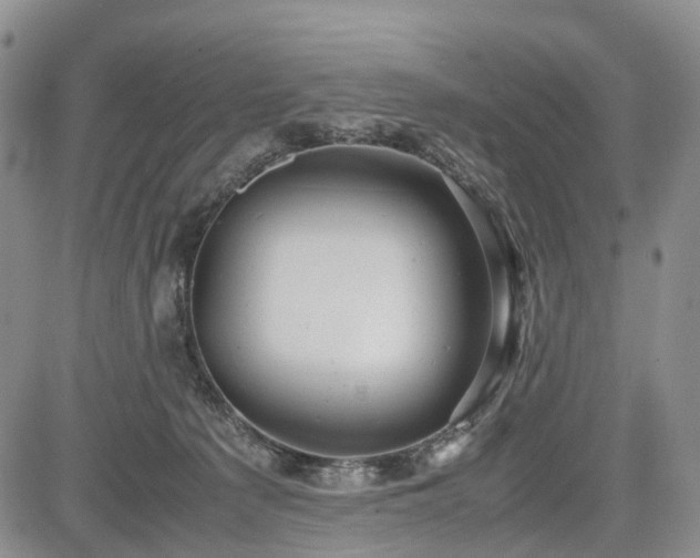 X0000085210225200703161227