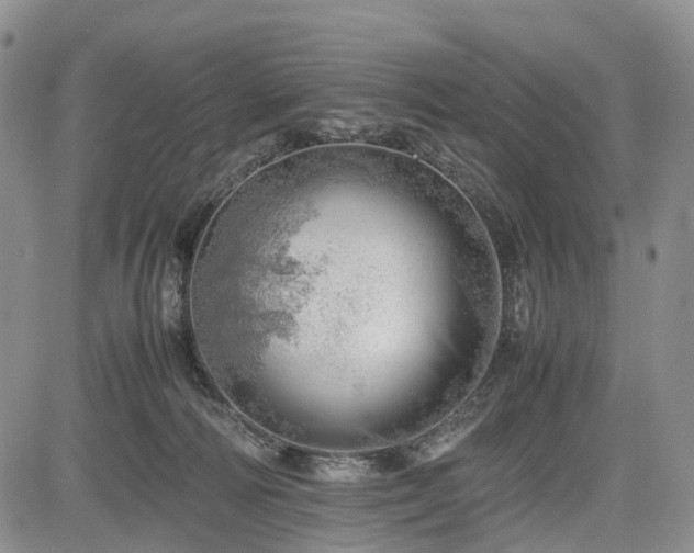 X0000085210226200703161227