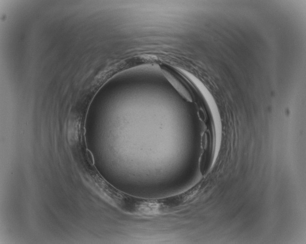 X0000085210227200703161227