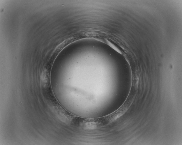 X0000085210228200703161227