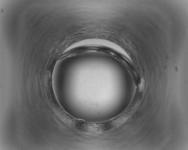 X0000085210229200703161227