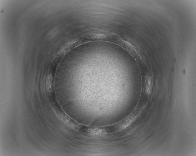 X0000085210230200703161227