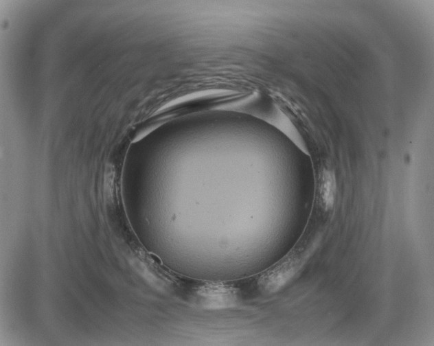 X0000085210231200703161227