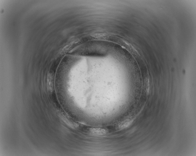 X0000085210234200703161227