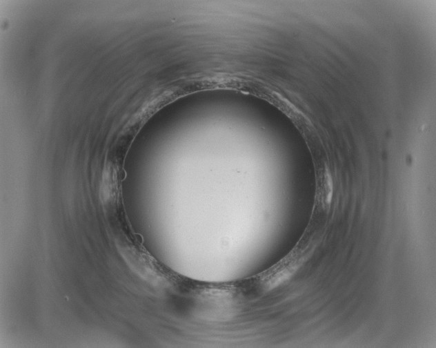 X0000085210236200703161227