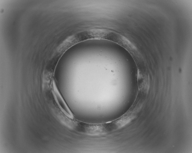 X0000085210237200703161227