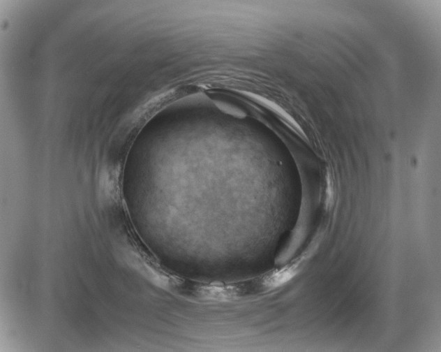 X0000085210239200703161227