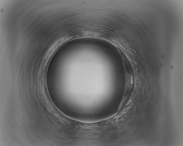 X0000085210241200703161226