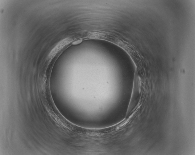 X0000085210242200703161226